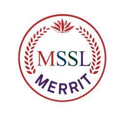 Merit Security Service Logo